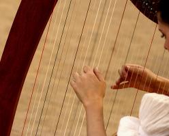 Pinotnoir corse shutterstock 1077301