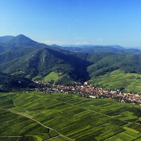 A glimpse at the Alsace wine-growing area