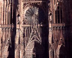 Riesling shutterstock 245655985