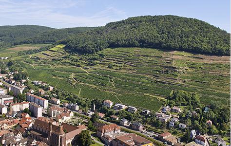 The Wine Route in southern Alsace