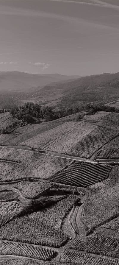 The great terroirs of Alsace