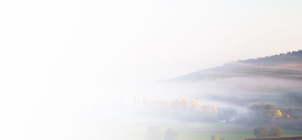 A wine-growing are<br>to be explored