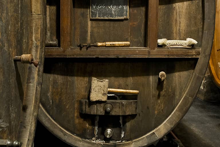 From the Vineyard to Wine