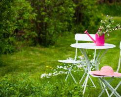 Shutterstock 138116876 rose