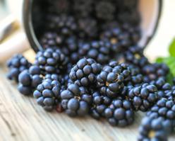 Shutterstock 144757954 pn rouge