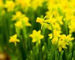 Shutterstock 163408595 mu