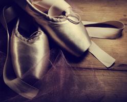 Shutterstock 166564226