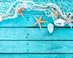 Shutterstock 181135754 rose