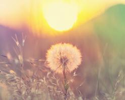 Shutterstock 188702624