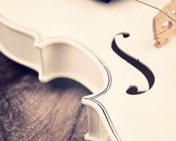 Shutterstock 206361244