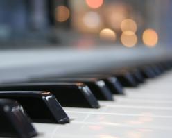 Shutterstock 2233515