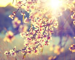 Shutterstock 262683263