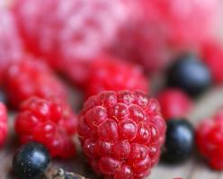 Shutterstock 2810415