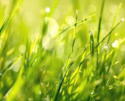 Shutterstock 283520795-sy