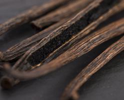 Shutterstock 310472006