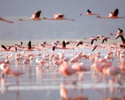 Shutterstock 50550394