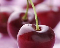 Shutterstock 9720613