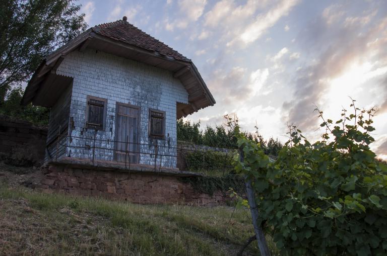 Steinklotz-diaz-conseilvinsalsace