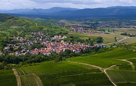 The Strasbourg wine-growing region