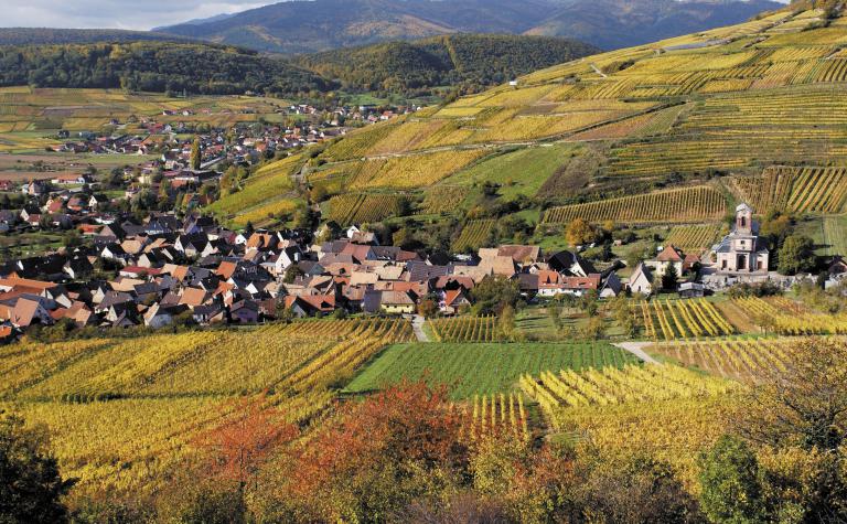 Westhalten - Grand Cru Zinnkoepfle