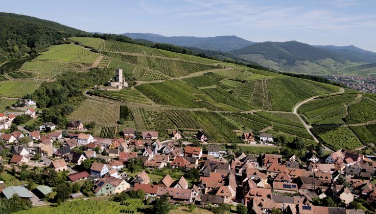 Wineck-schlossberg-zvardon-conseilvinsalsace