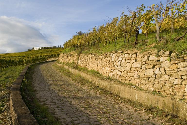 Grand Cru Zinnkoepfle