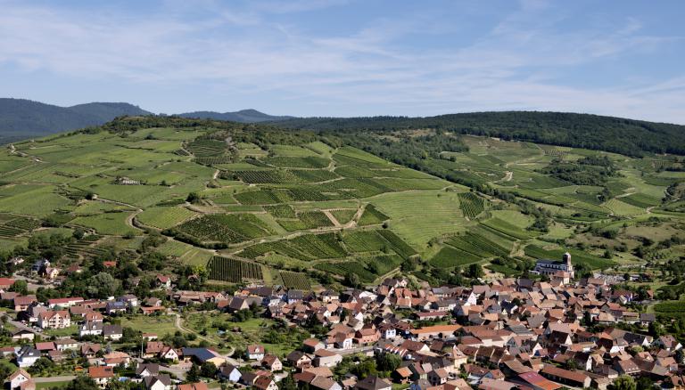 Grand Cru Zinnkoepfle