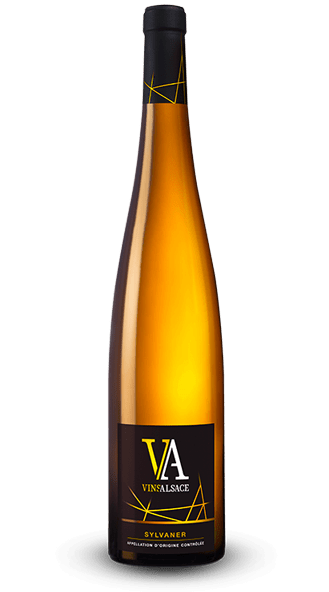 Sylvaner d’Alsace