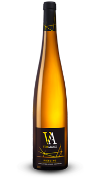 Mariner’s mussels in Riesling d’Alsace