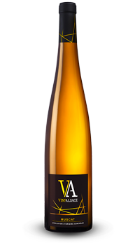 Muscat d’Alsace