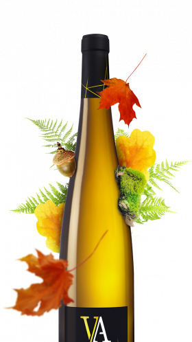 bouteille pinot gris d'alsace