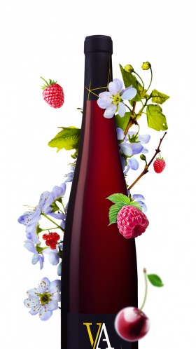 bouteille pinot noir d'alsace