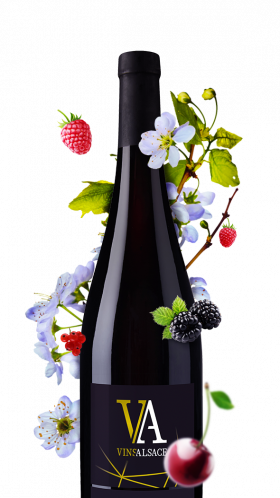 bouteille pinot noir rouge d'alsace