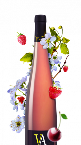 bouteille de pinot noir d'alsace