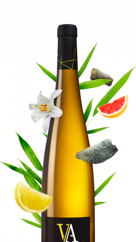 bouteille riesling d'alsace