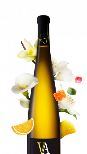 bouteille selection de grains nobles d'alsace